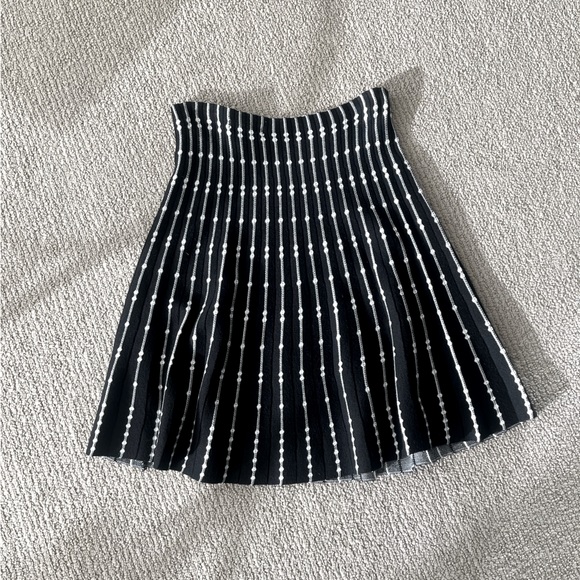 Max Studio Skirt - Picture 1 of 4